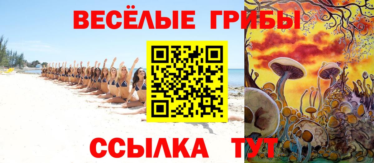 Галлюциногенные грибы GOLDEN TEACHER Новочебоксарск