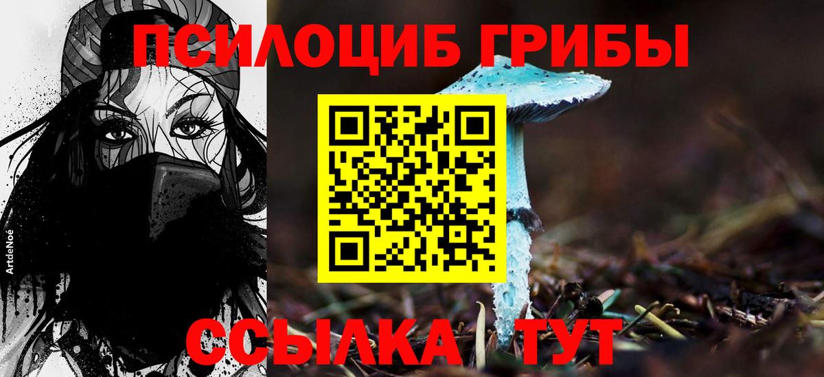 как найти   Вход с VPN  Новочебоксарск  Галлюциногенные грибы ЛСД  Галлюциногенные грибы Psilocybe 